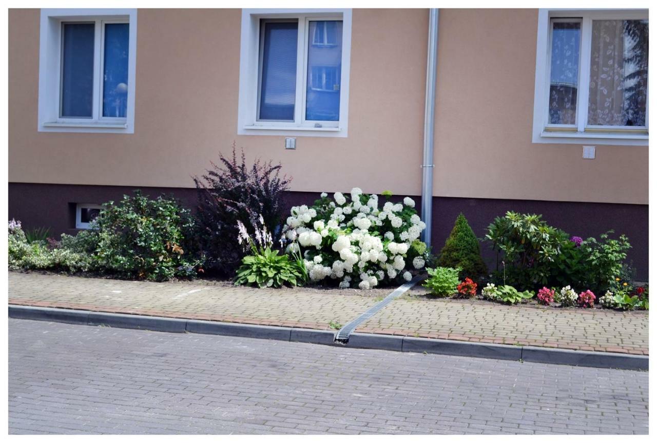 Color24 Apartament Stalowa Wola Extérieur photo